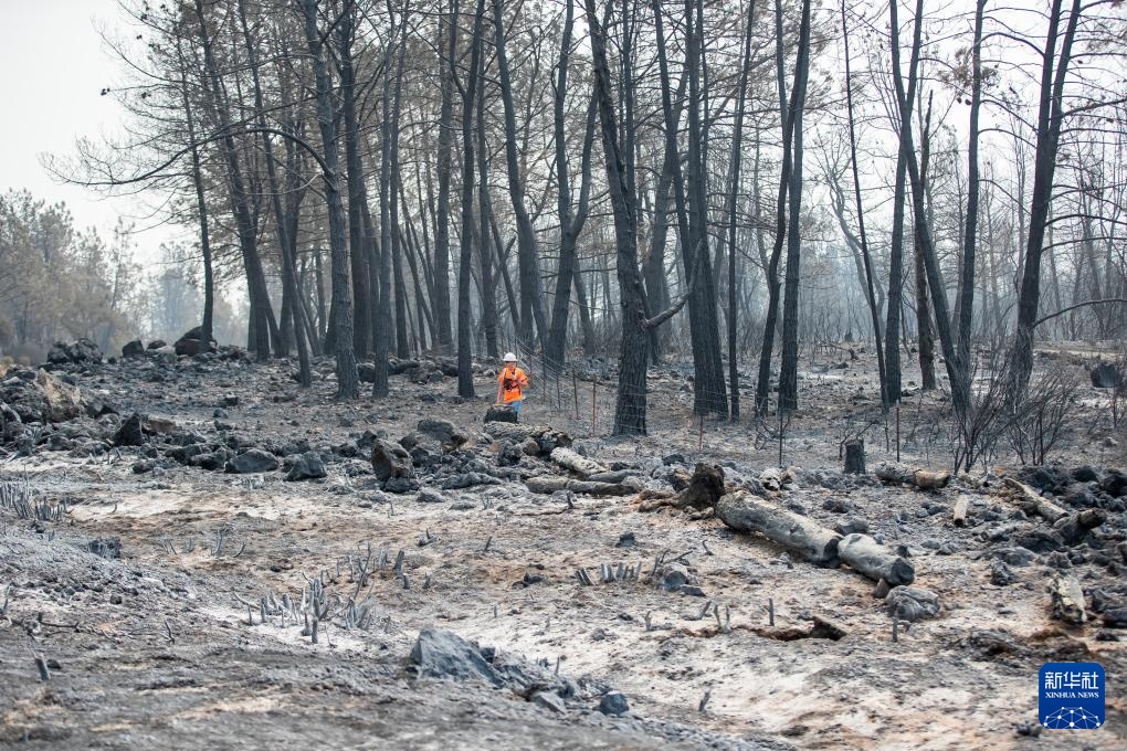 美国加州:山火过后 美国加州:山火过后