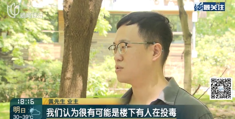 上海一小区20多只猫狗离奇死亡疑似有人楼下投毒？警方已介入