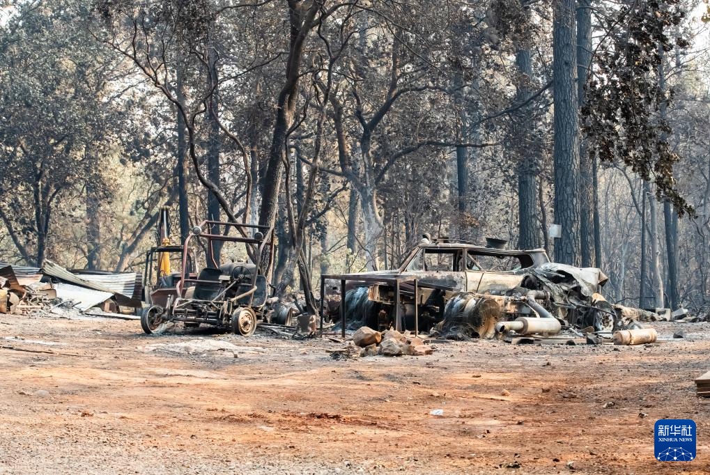美国加州:山火过后 美国加州:山火过后