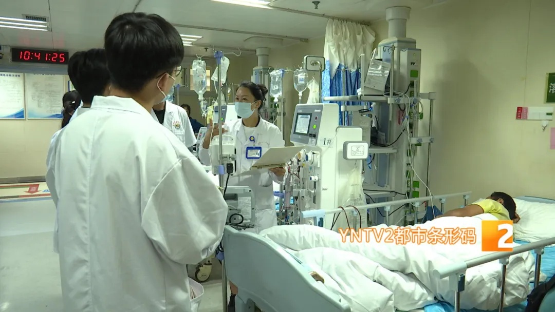 紧急提醒！小心昆虫中的“见手青” ，云南一家四口全中毒！