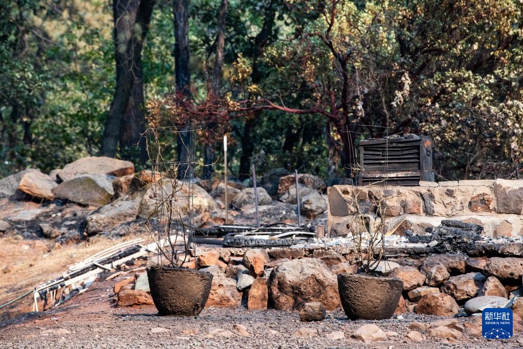 美国加州:山火过后 美国加州:山火过后