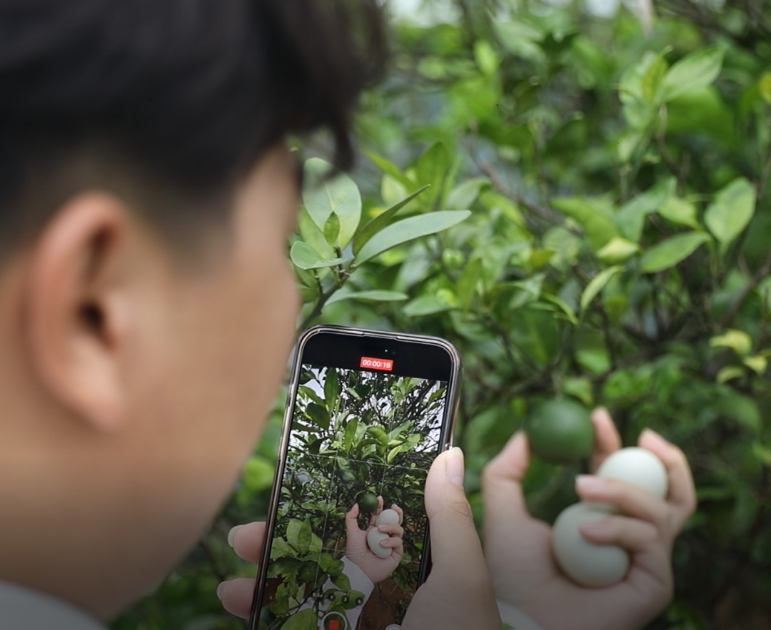 全红婵巴黎夺金，父母：她训练比干农活累百倍