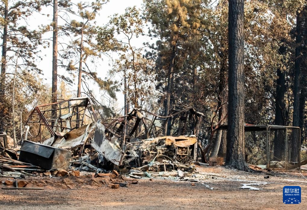 美国加州:山火过后 美国加州:山火过后