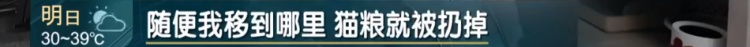 上海一小区20多只猫狗离奇死亡疑似有人楼下投毒？警方已介入
