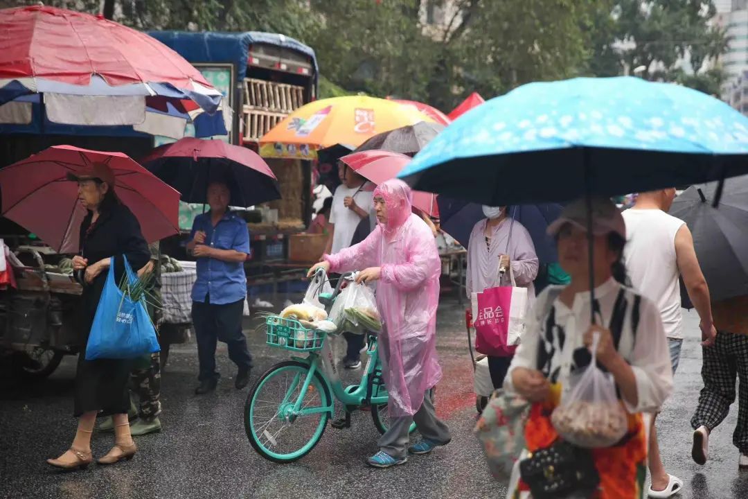大众菜涨幅不大!频繁降水,沈阳最近菜价…… 大众菜涨幅不大!频繁降水,沈阳最近菜价……