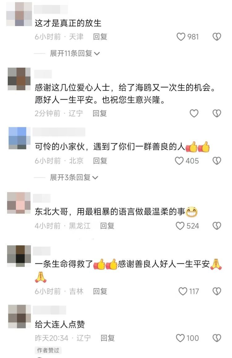 隔着屏幕都疼！事发大连一夜市，急需救援！