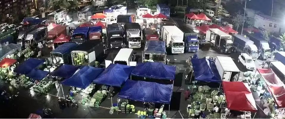 大众菜涨幅不大!频繁降水,沈阳最近菜价…… 大众菜涨幅不大!频繁降水,沈阳最近菜价……