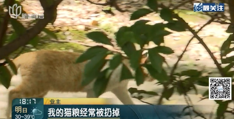 上海一小区20多只猫狗离奇死亡疑似有人楼下投毒？警方已介入