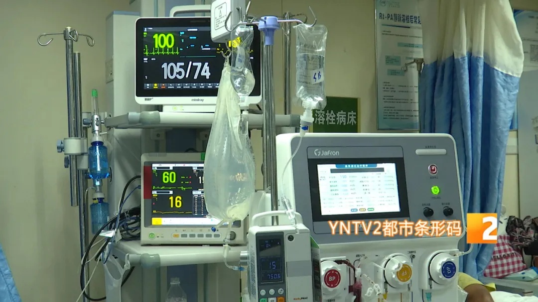 紧急提醒！小心昆虫中的“见手青” ，云南一家四口全中毒！