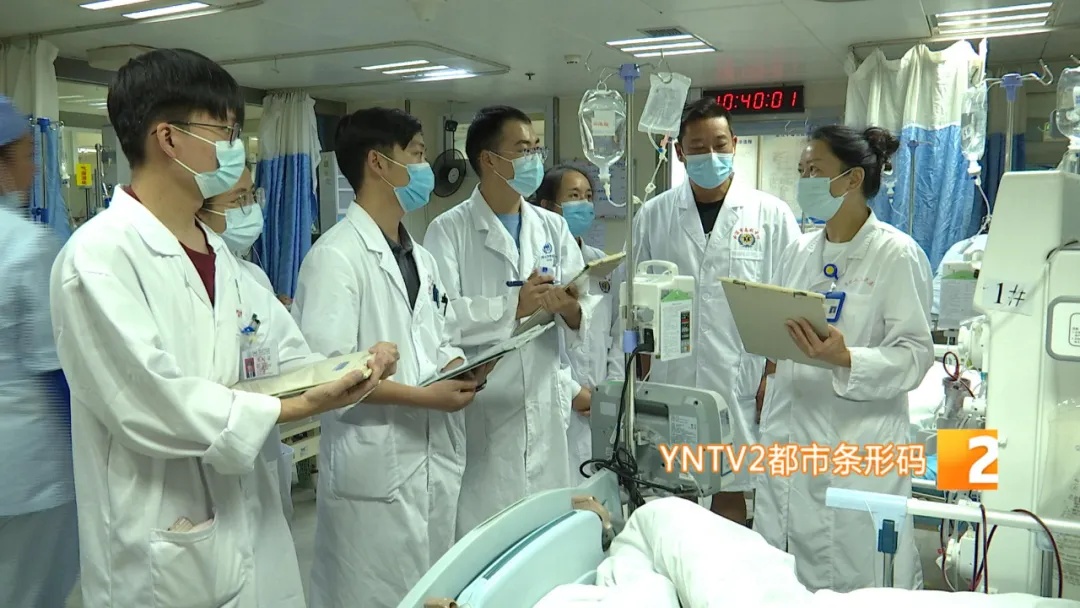紧急提醒！小心昆虫中的“见手青” ，云南一家四口全中毒！