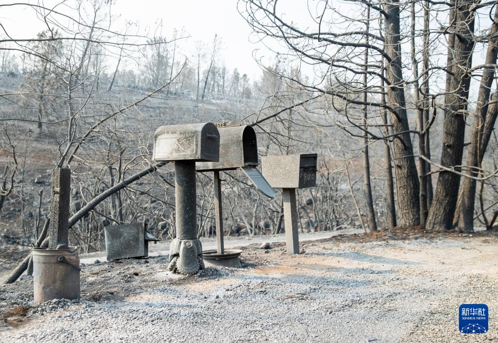 美国加州:山火过后 美国加州:山火过后