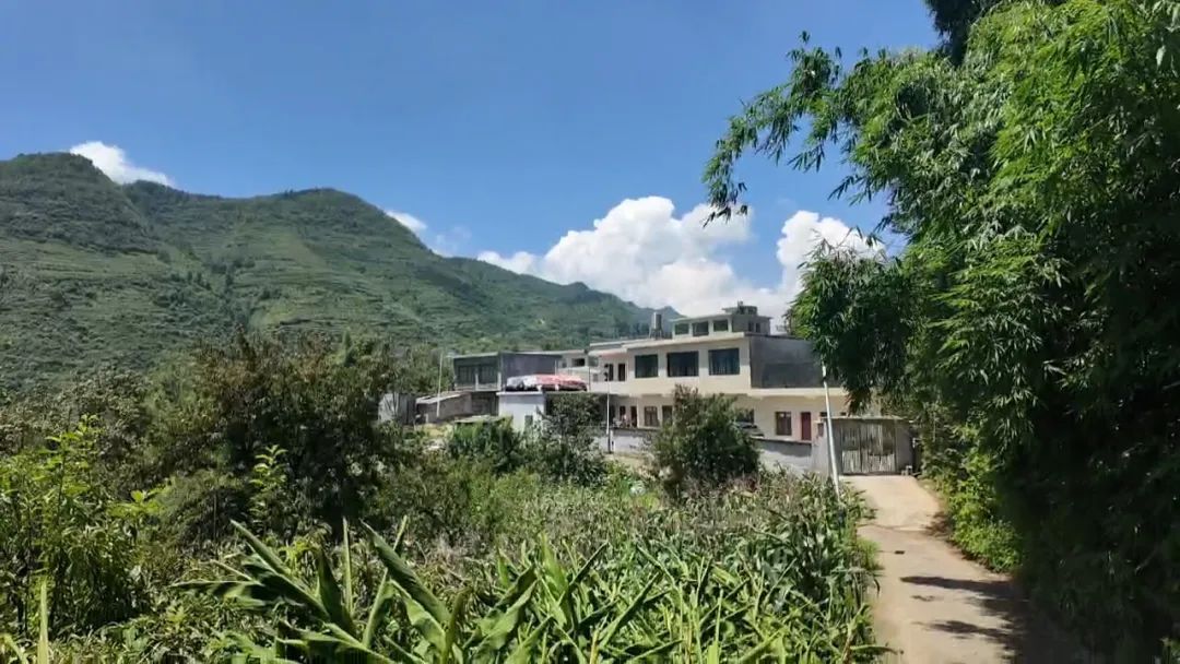 探访奥运冠军谢瑜的故乡：两层高的住房刚翻修 夺冠后成打卡点