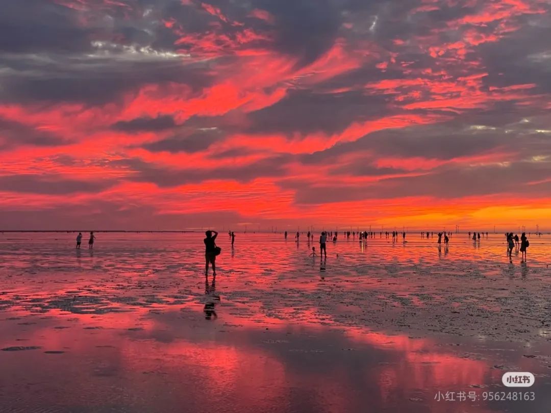 临港海滩朝霞绝了！但凌晨堵车、爬铁丝网、无证小摊贩也出现了，官方表示：马上调整→