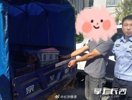 自制铁笼捕捉50多条“菜花蛇”，浏阳一男子涉嫌非法狩猎被刑拘