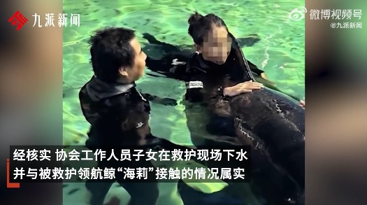 三亚蓝丝带海洋保护协会：情况属实，真诚道歉