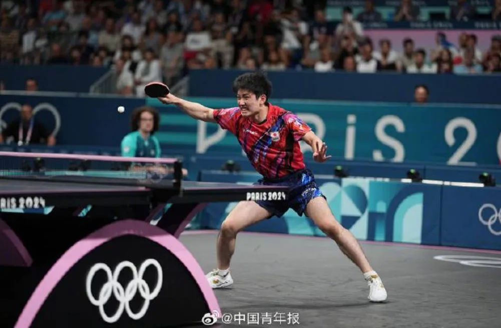 太紧张！樊振东惊险逆转张本智和！王皓哭了