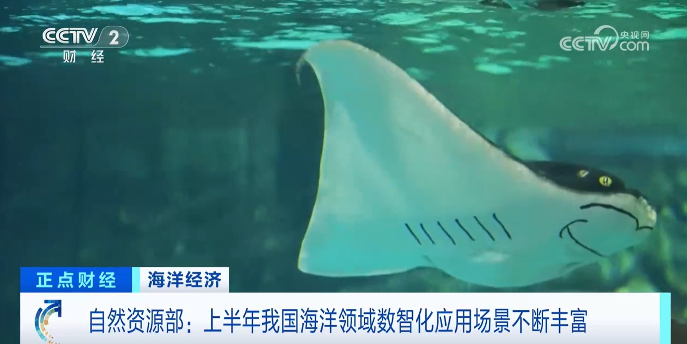 我国现代海洋产业体系加快构建 “蓝色粮仓”向“新”出发 我国现代海洋产业体系加快构建 “蓝色粮仓”向“新”出发