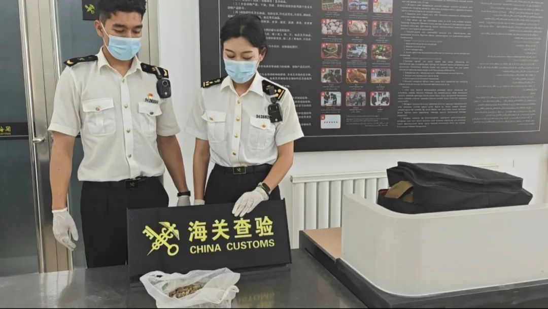 海关查获一袋粪便，旅客称打算做治病滋补“偏方”……