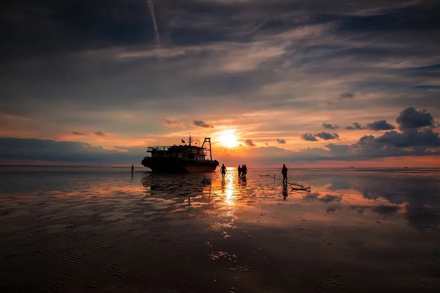 临港海滩朝霞绝了！但凌晨堵车、爬铁丝网、无证小摊贩也出现了，官方表示：马上调整→