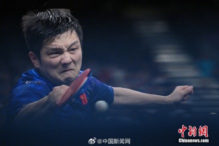 樊振东眼神好坚定