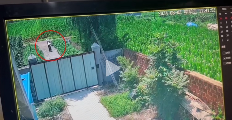 青岛101岁老人走失后在高速下桥洞被发现已不幸身亡，家属发声！警方介入调查死因
