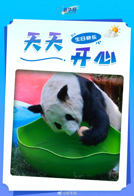 丫丫24岁了 祝丫丫生日快乐 丫丫24岁了 祝丫丫生日快乐