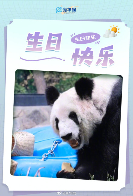 丫丫24岁了 祝丫丫生日快乐 丫丫24岁了 祝丫丫生日快乐