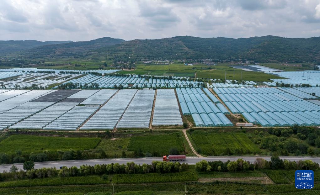 宁夏隆德：设施农业助力乡村振兴