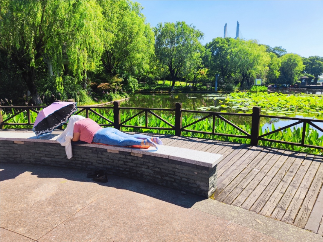 衣着暴露“辣眼睛”？三伏天“晒背族”占领上海各公园！园方心力交瘁，医生提醒→