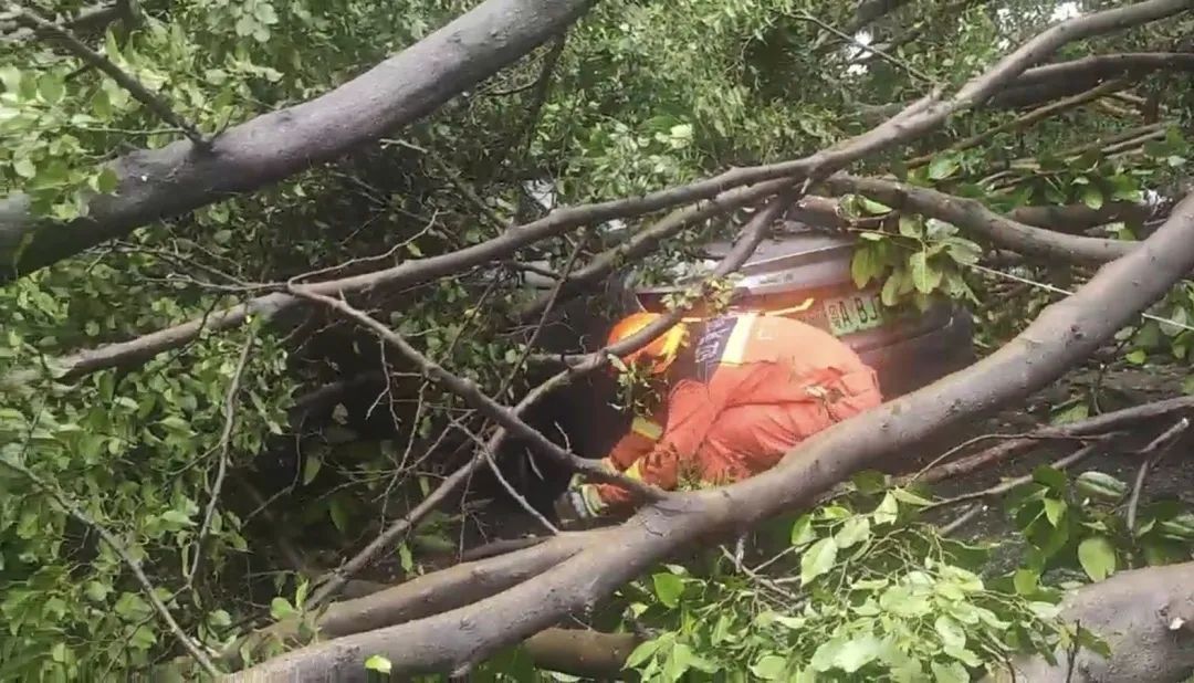 痛心！中国夫妇遇突发意外，致1死1伤，细节披露