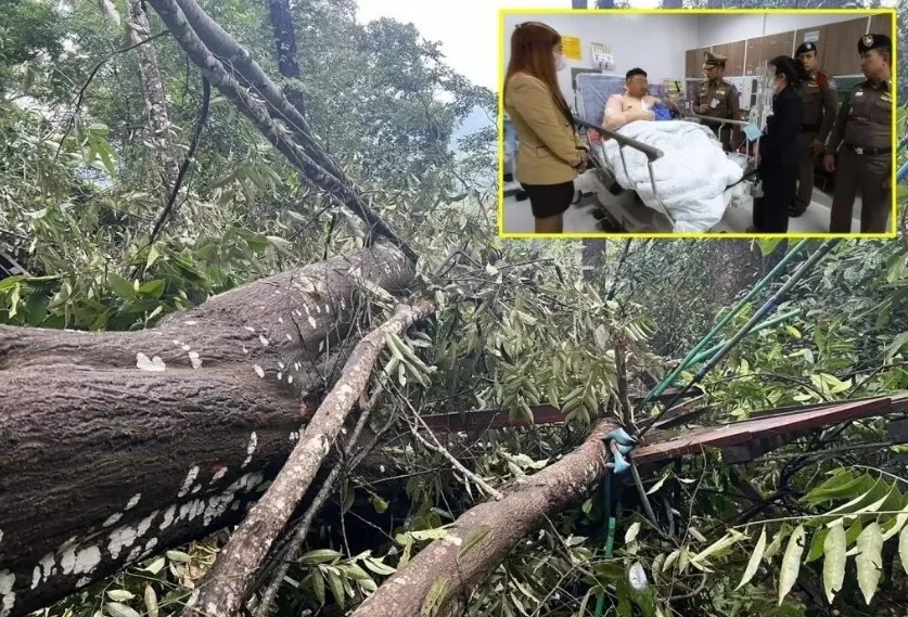 泰国清迈“丛林飞跃”突发意外，中国游客一死一伤