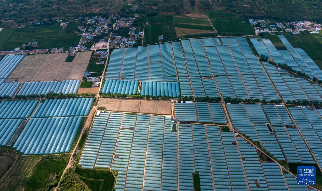 宁夏隆德：设施农业助力乡村振兴