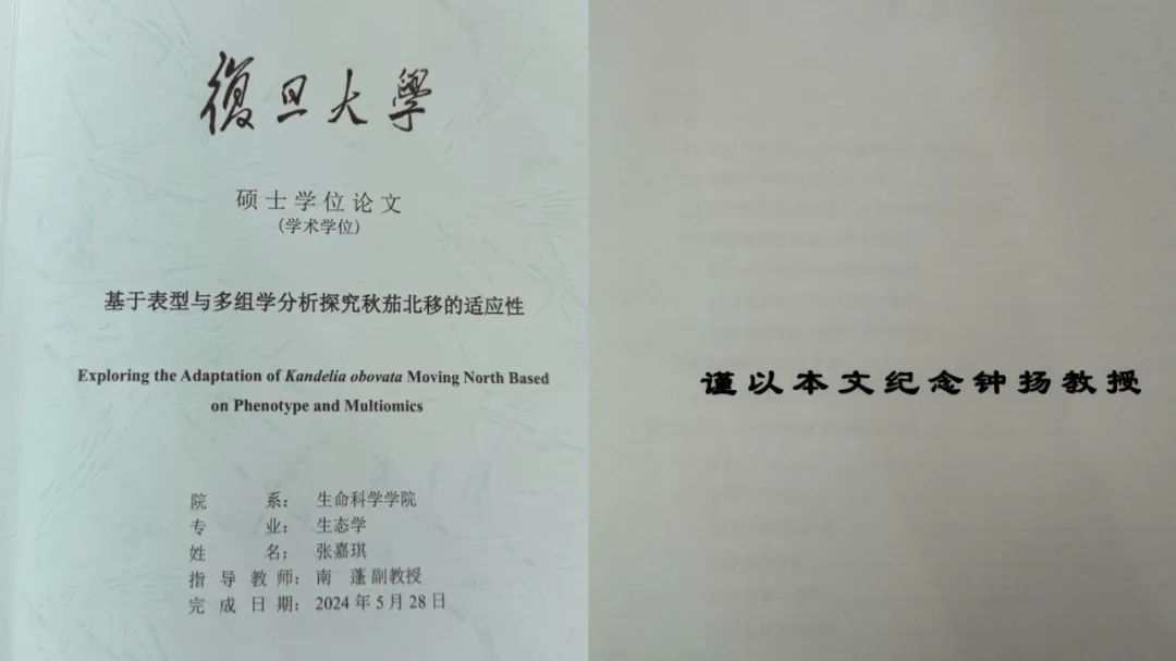 这篇硕士论文，看第一页就哭了……