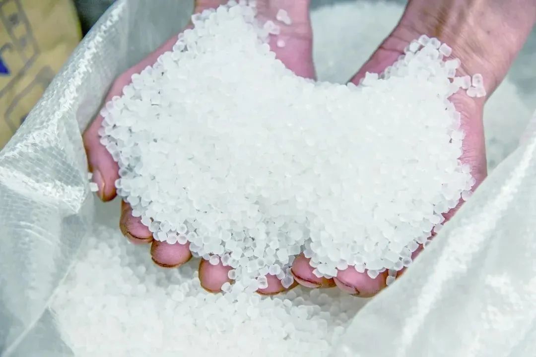 种草全红婵的“丑鱼拖鞋”？广东这里了解一下
