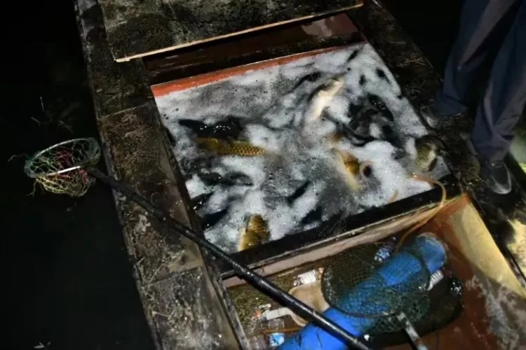 内蒙古:非法捕捞131.5公斤,这几名男子深夜电鱼被抓现行!收购者一并处罚…… 内蒙古:非法捕捞131.5公斤,这几名男子深夜电鱼被抓现行!收购者一并处罚……