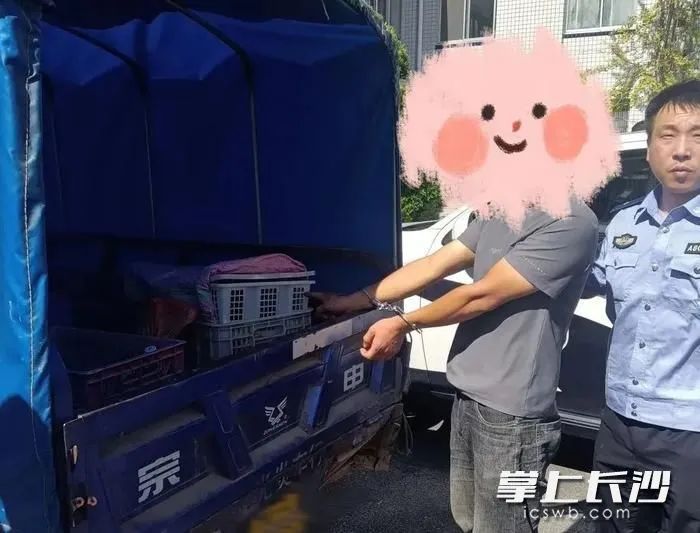 陈某，被刑拘！