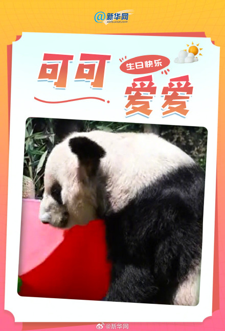 丫丫24岁了 祝丫丫生日快乐 丫丫24岁了 祝丫丫生日快乐