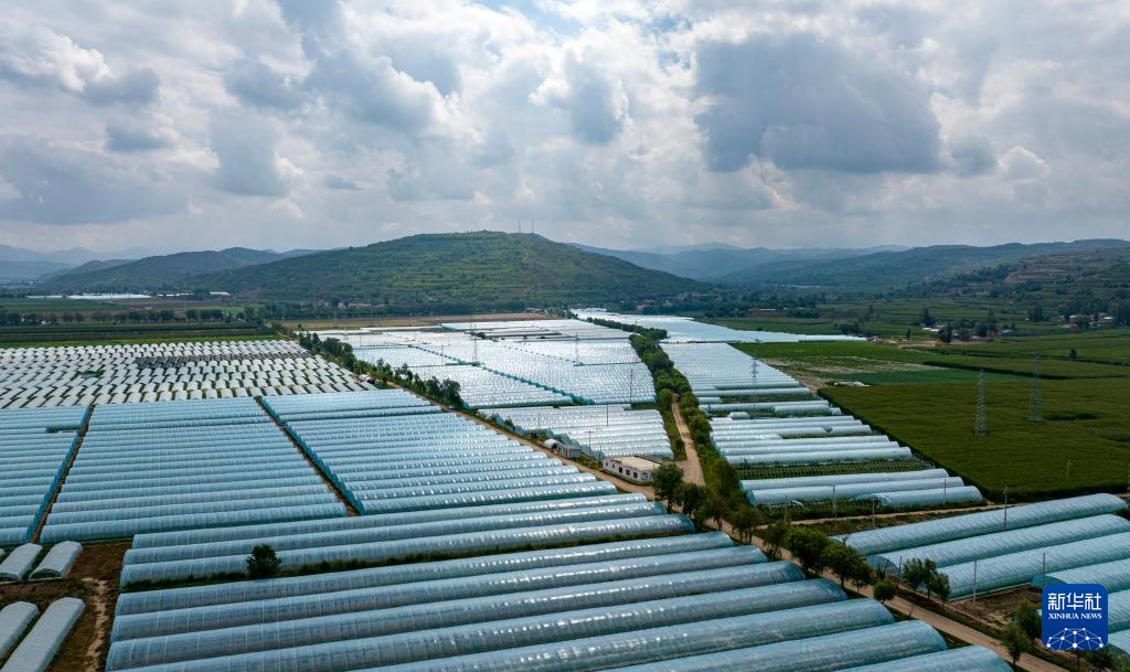宁夏隆德：设施农业助力乡村振兴