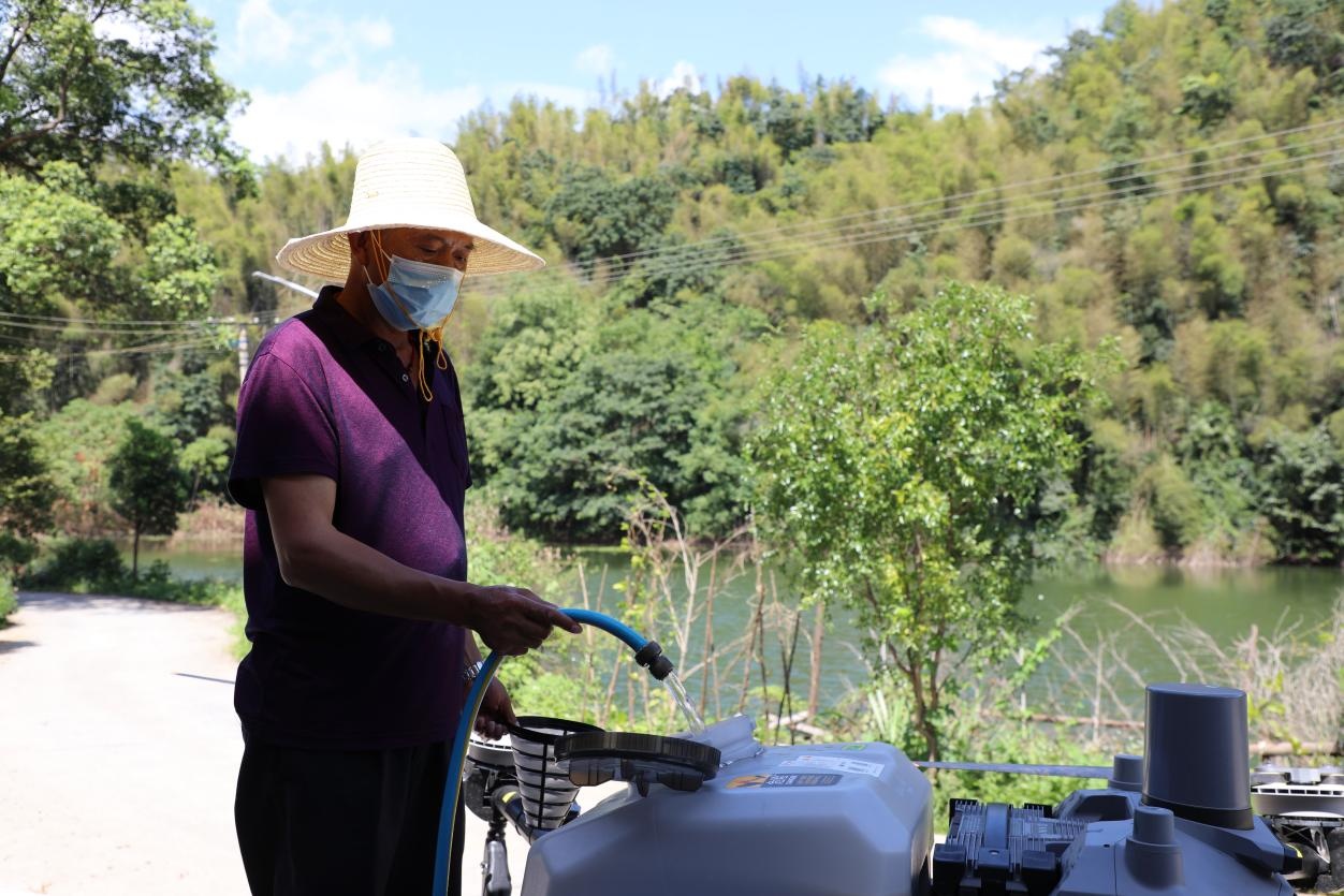 无人机“飞防”为衡山5万亩竹林“除蝗”