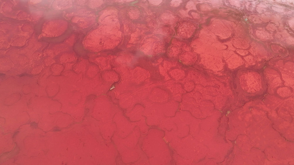 美丽中国｜内蒙古巴丹吉林沙漠：沙海莽莽 &nbsp;群湖争艳