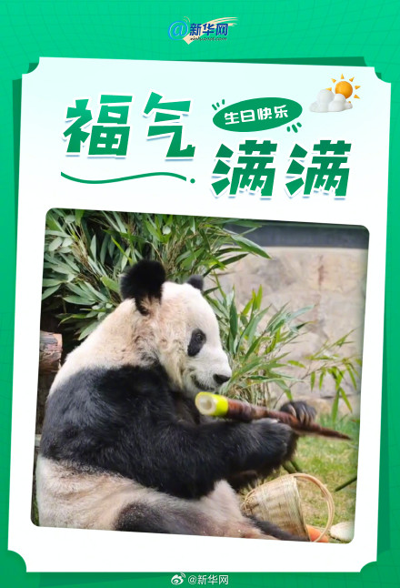 丫丫24岁了 祝丫丫生日快乐 丫丫24岁了 祝丫丫生日快乐