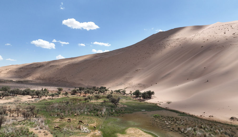 美丽中国｜内蒙古巴丹吉林沙漠：沙海莽莽 &nbsp;群湖争艳