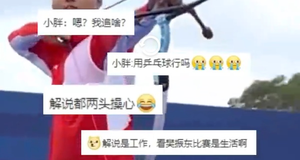 一夜之间，嘴瓢樊振东的解说员火了！