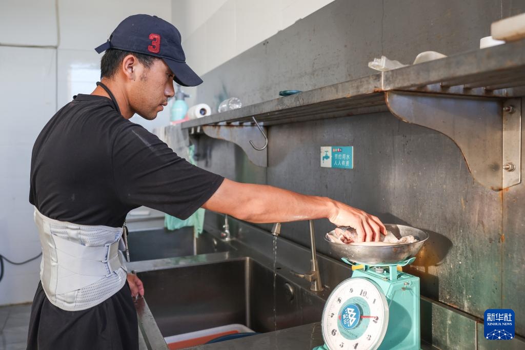 海南三亚:短肢领航鲸“海莉”开始自主下潜与进食 海南三亚:短肢领航鲸“海莉”开始自主下潜与进食