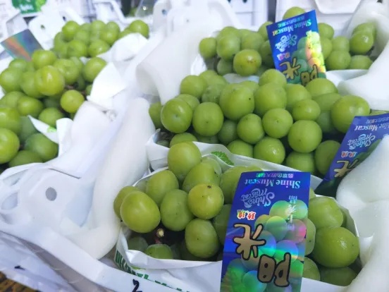 断崖式下跌！曾经的“顶流”低至5元/斤，很多山东人爱吃