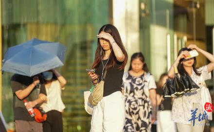 炎值升级！广州11区发布高温黄色预警，明起冲击37℃