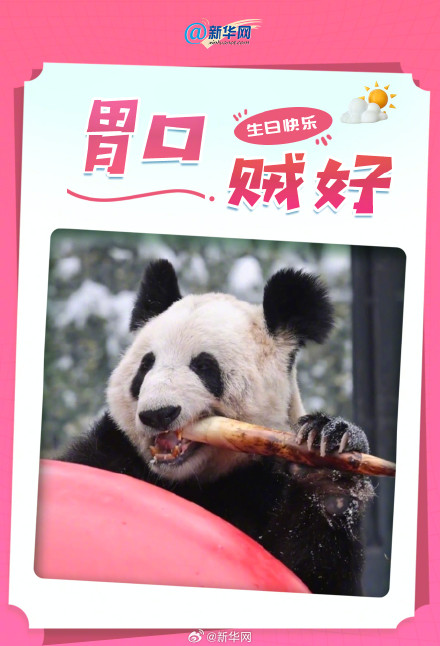 丫丫24岁了 祝丫丫生日快乐 丫丫24岁了 祝丫丫生日快乐
