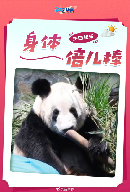 丫丫24岁了 祝丫丫生日快乐 丫丫24岁了 祝丫丫生日快乐