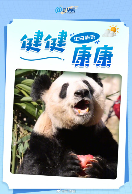 丫丫24岁了 祝丫丫生日快乐 丫丫24岁了 祝丫丫生日快乐