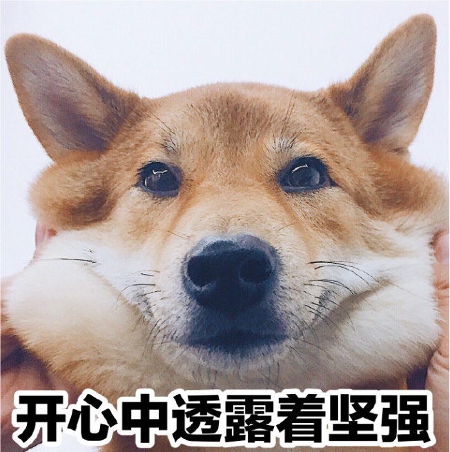 衣着暴露“辣眼睛”？三伏天“晒背族”占领上海各公园！园方心力交瘁，医生提醒→